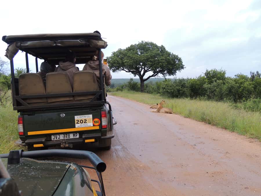 Marloth Park: Kruger National Park Safari Game Drives - What you can realistically hope to see: Big Five plus extras