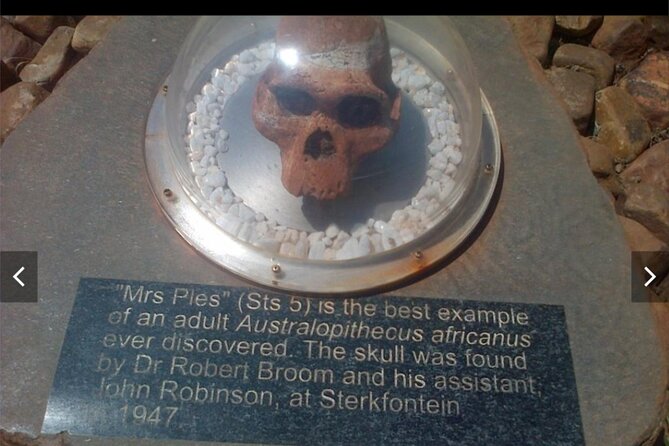 Maropeng Cradle of Humankind Museum &Sterkfontein Cave Experience - Seeing Sterkfontein without the cave walk: what changes