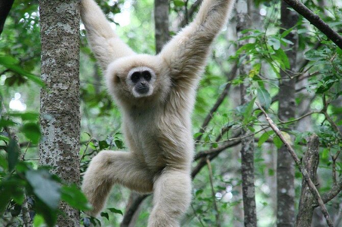 Monkeyland Guided Tour in Plettenberg Bay - Quick hits before you go