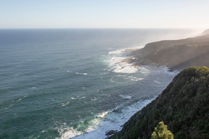 Most Exciting Adventurous Activities and the Only Quadbike Tours in Tsitsikamma - The ride itself: guided forest roads, pine views, and steady fun
