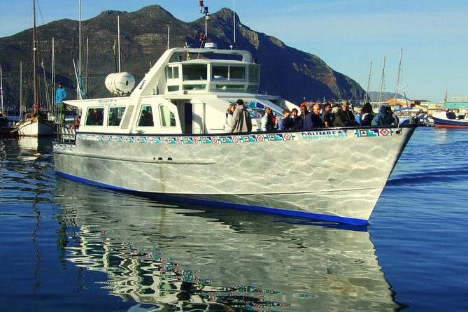 MUST DO: Boulders Beach & Cape Point Full Day Tour #1 Rated - Boulders Beach in Simons Town: penguins and real close-up charm