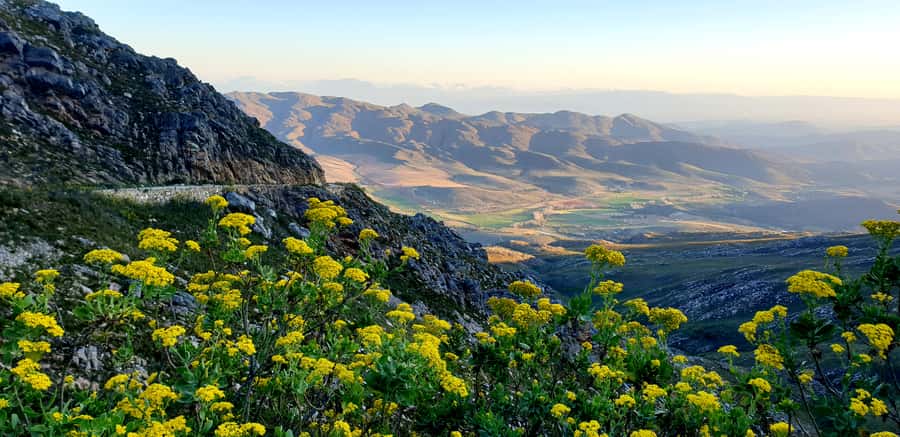 Oudtshoorn: Half-Day Swartberg Pass Private Guided Tour - Key things you will notice right away
