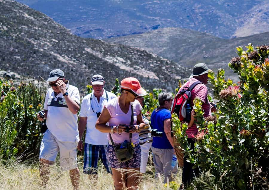 Oudtshoorn: Swartberg Mountain Pass Tour with Country Lunch - Key things I’d prioritize before you go
