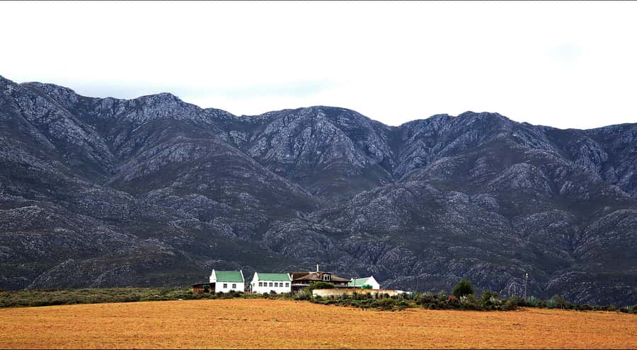 Oudtshoorn: Swartberg Mountain Pass Tour with Country Lunch - Swartberg Pass Summit and the 360-Degree Karoo Views