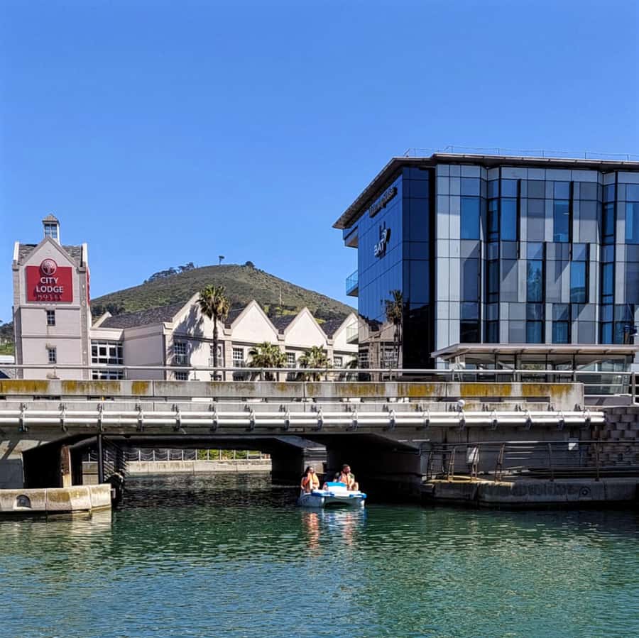 Pedal Boat Ride V&A Waterfront - Cape Town - Why this canal ride feels like a smart V&A break