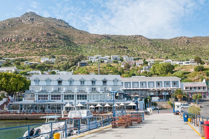 Penguin Encounter Boulders Beach Half Tour Day from Cape Town - Why this half-day penguin tour makes sense in Cape Town