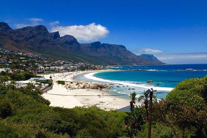 Penguins Cape of Good Hope, Cape Point Private Tour - Private Tour Up to 4, With Pickup and a Day That Flows