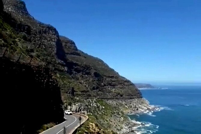 Penguins Cape of Good Hope, Cape Point Private Tour - Cape of Good Hope: Monuments, ostriches if you’re lucky, and an optional hike
