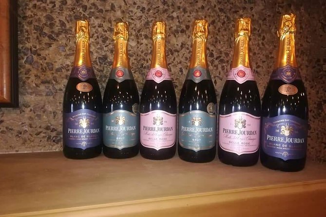 Penguins Viewing, Cape of Goodhope and Winelands Region - Wine tasting in Constantia, from South Africa’s oldest estate to a first-lady owned stop