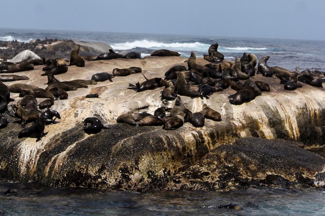 Peninsula Tour Cape Town - Stop 1: that Twelve Apostles promenade, beaches, and people-watching