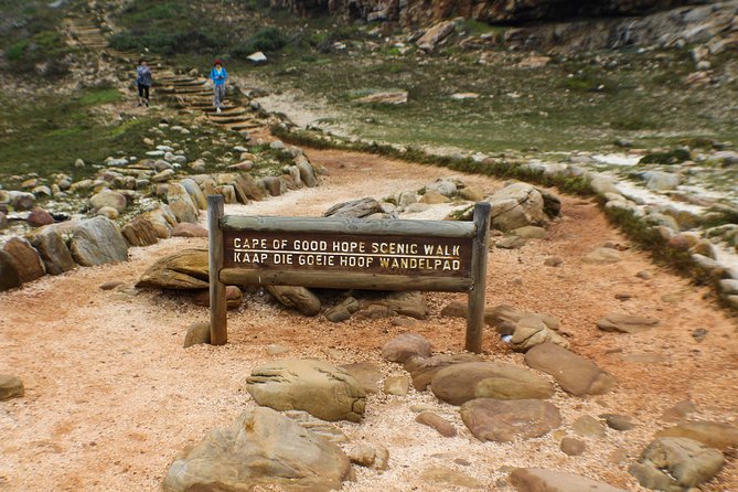 Peninsula Tour Cape Town - Chapman’s Peak: viewpoint photos plus a scenic road drive