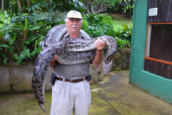 Phezulu Cultural Village & Reptile Park Day Tour from Durban - Phezulu Reptile Park: Crocs, Snakes, Green Mamba Facts, and Local Guides
