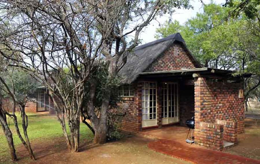 Pilanesberg: 2 Day 3-Star Pilanesberg Safari - Key Things You’ll Notice on This Safari