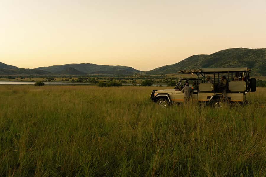Pilanesberg: Full-Day Safari Adventure from Johannesburg - Key things to know before you go