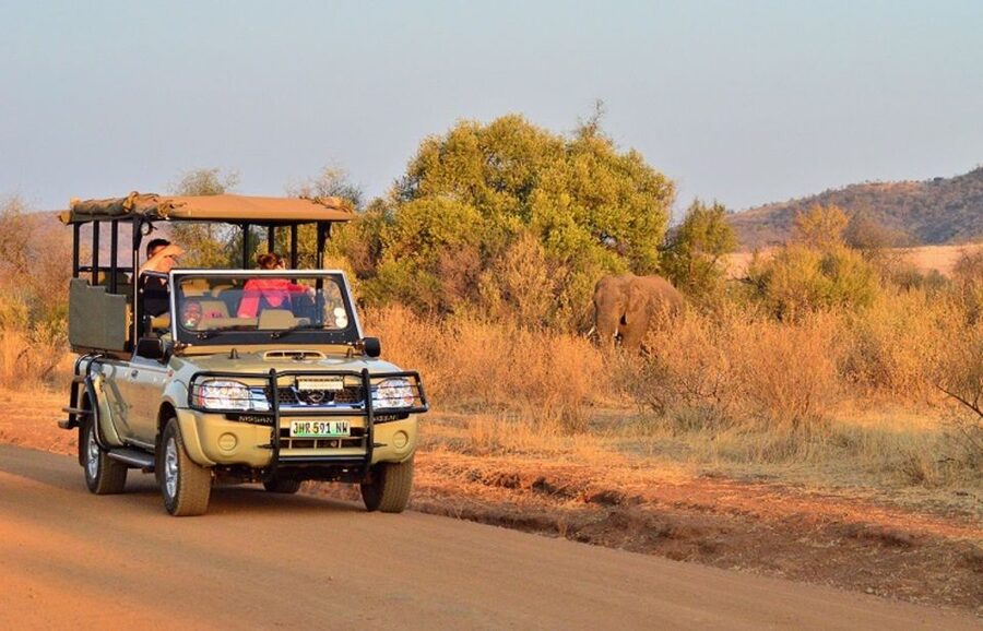 Pilanesberg Full-Day Shared Safari with Sun City Visit - Johannesburg to Pilanesberg by 4x4-route brain: early start, real payoff