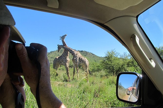 Pilanesberg Game Reserve 6 Hour Sunrise Safari from Johannesburg or Pretoria - The 4:00 am Pickup and a Full Day Schedule That Stays Organized