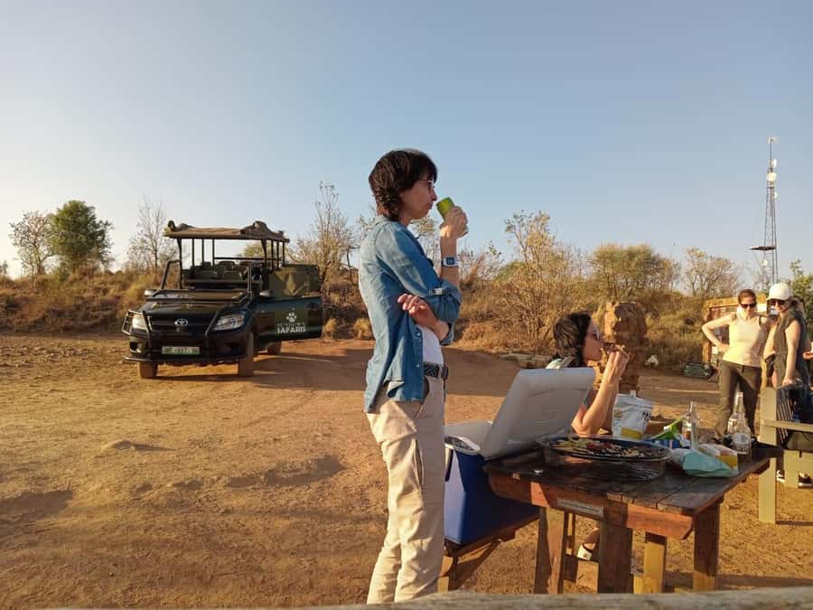 Pilanesberg Morning or Afternoon 3 Hour Game Drive - What you can realistically see: Big Five chances plus the rest of the park