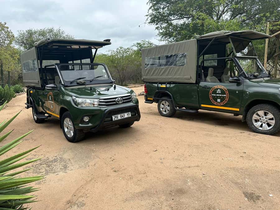 Pilanesberg Morning or Afternoon 3 Hour Game Drive - Morning vs afternoon: choosing the right feel for your day