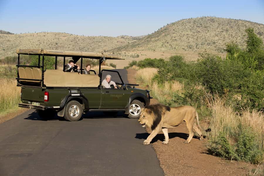 Pilanesberg Morning or Afternoon 3 Hour Game Drive - Small practical tips to get better sightings from an open vehicle