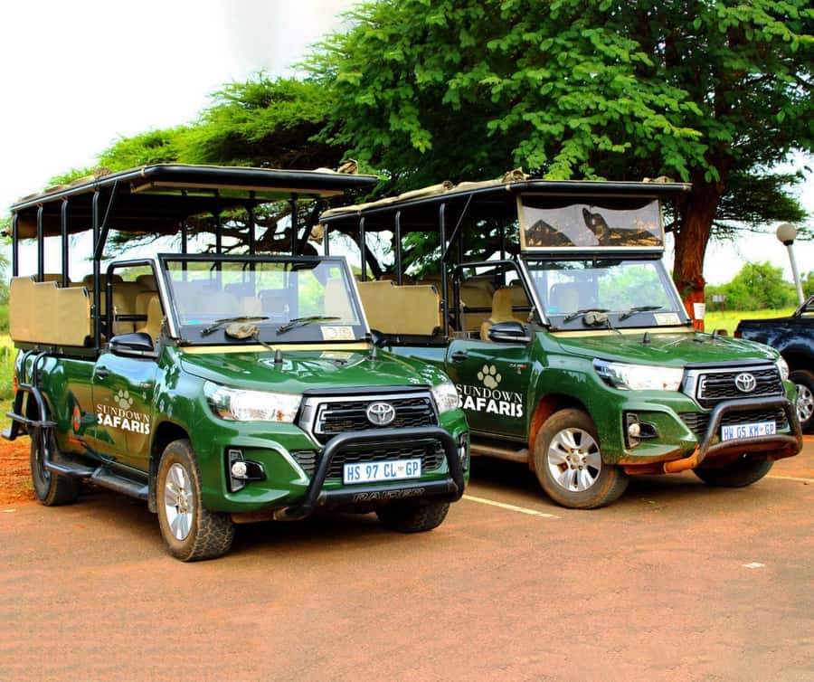 Pilanesberg Morning or Afternoon 3 Hour Game Drive - Who this tour fits best, and who should skip it