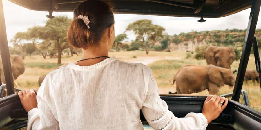 Pilanesberg Morning or Afternoon 3 Hour Game Drive - Pickup at Sun City or Manyane Gate, and how the drive likely starts