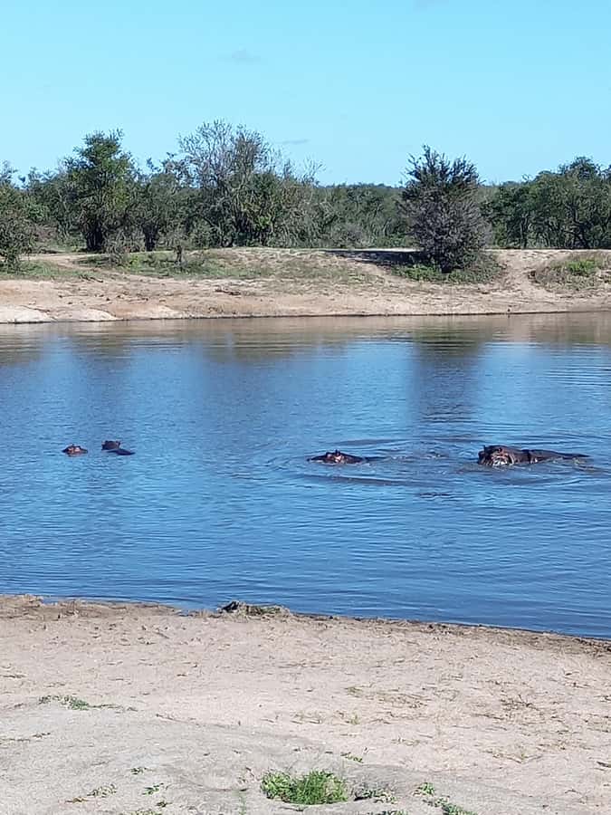 Pilanesberg National Park - Photo stops and break time: when rest helps and when lunch may slow you down