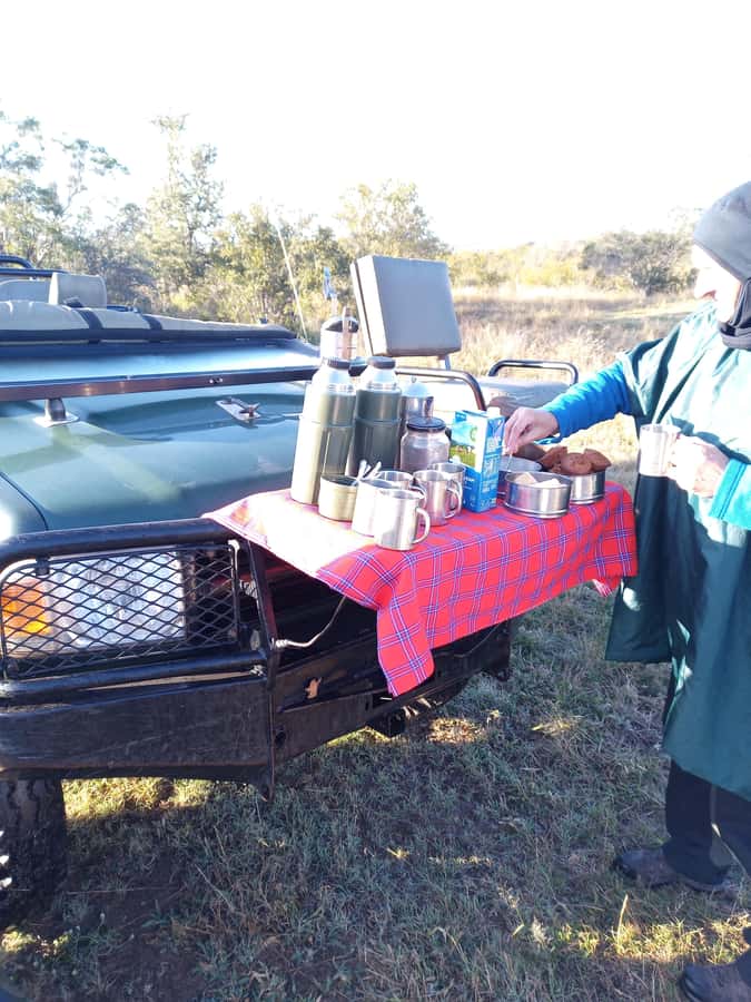 Pilanesberg National Park - Leaving the park by 3:00 pm: why the schedule helps you get home