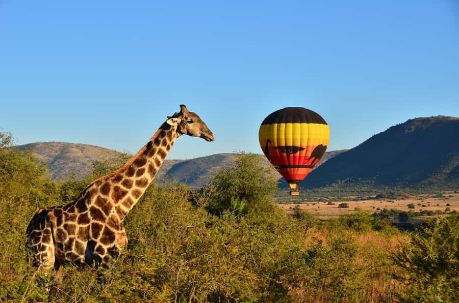 Pilanesberg National Park/Sun City Hot Air Balloon Safari - The balloon flight itself: what an hour above Pilanesberg feels like