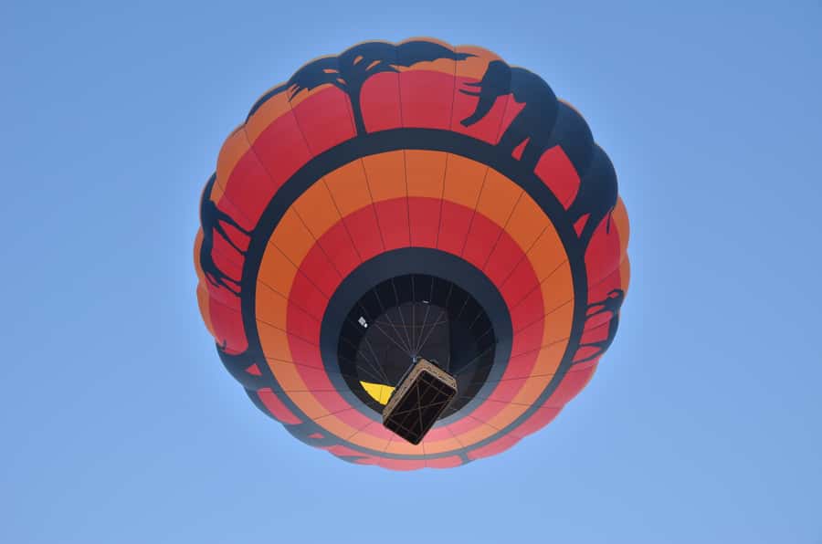 Pilanesberg National Park/Sun City Hot Air Balloon Safari - Safety and the 1.2-meter basket: what you need to manage