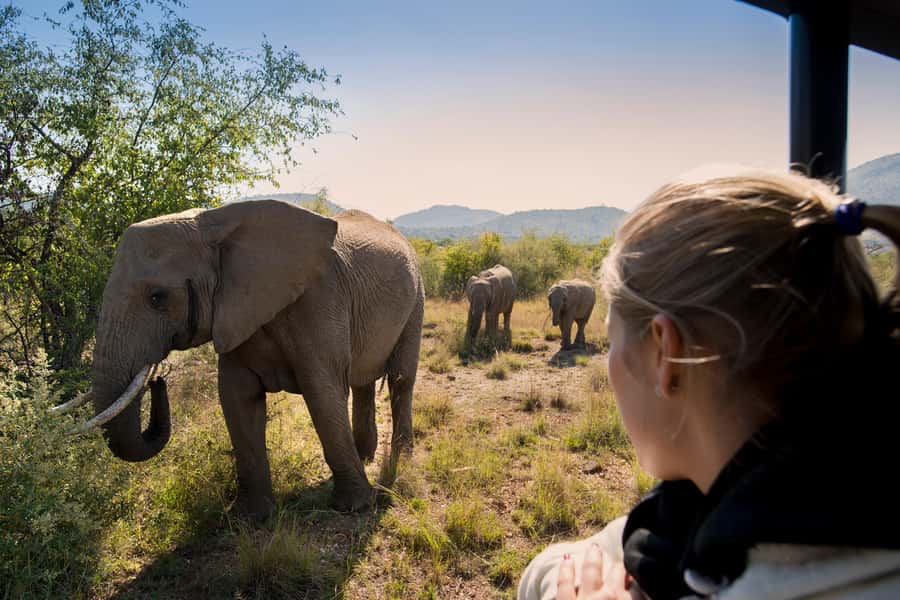 Pilanesberg: Two-Day Camping Adventure from Johannesburg - Key things to know before you go
