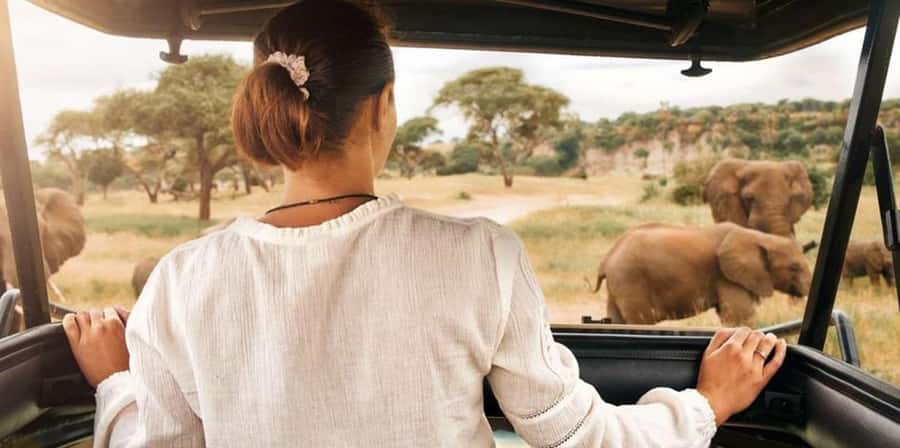 Pilanesberg: Two-Day Camping Adventure from Johannesburg - Tlou Tented Safari Camp, settling in without losing safari momentum