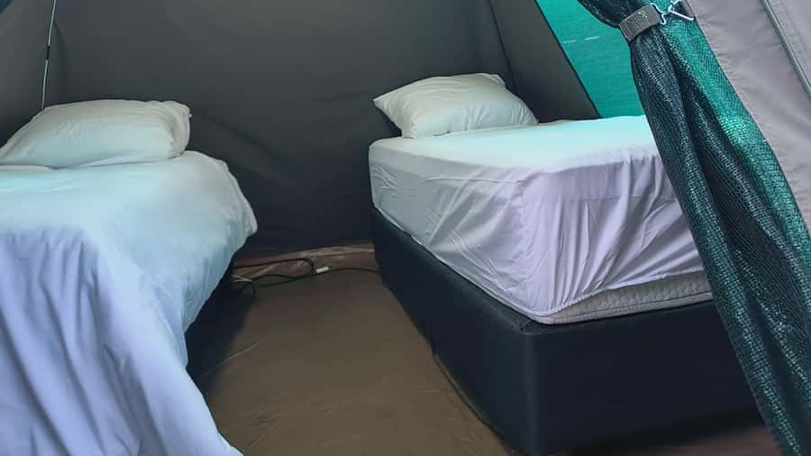 Pilanesberg: Two-Day Camping Adventure from Johannesburg - Day 2 early drive, why the second morning often matters most