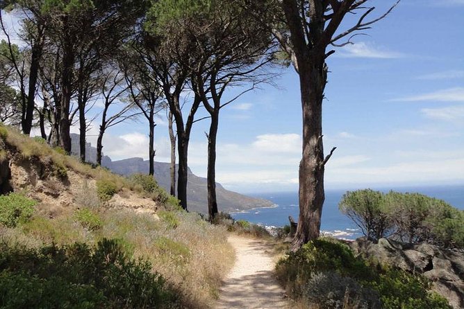 Pipetrack Hike for the whole family on Table Mountain - PRIVATE - Key things to know before you go