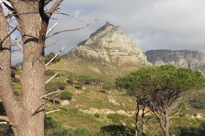 Pipetrack Hike for the whole family on Table Mountain - PRIVATE - Family-friendly pacing without feeling rushed