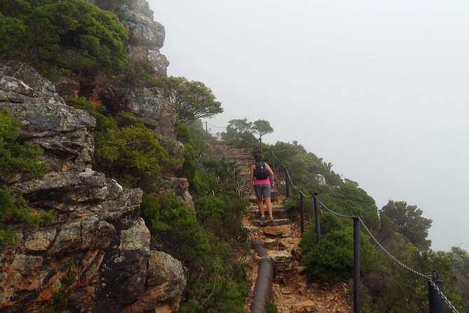 Pipetrack Hike for the whole family on Table Mountain - PRIVATE - Starting at Lower Tafelberg, with a 7:00am mindset