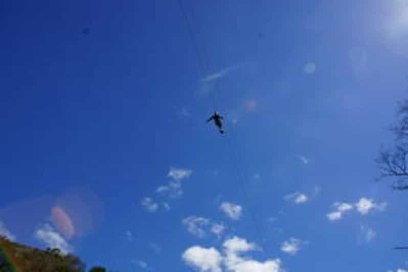 Plettenberg: 2-Hour Zipline Tour - The Views and Wildlife Notes You Get Along the Way