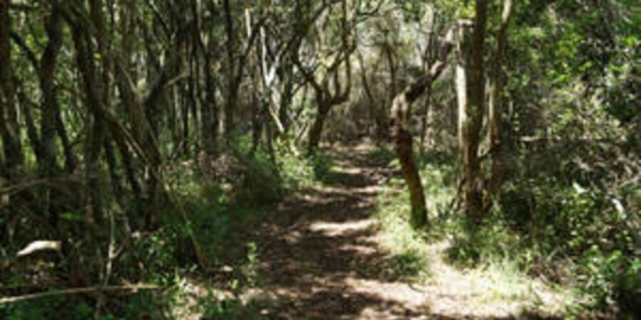 Plettenberg: 2-Hour Zipline Tour - Practical Tips for What to Wear and Bring