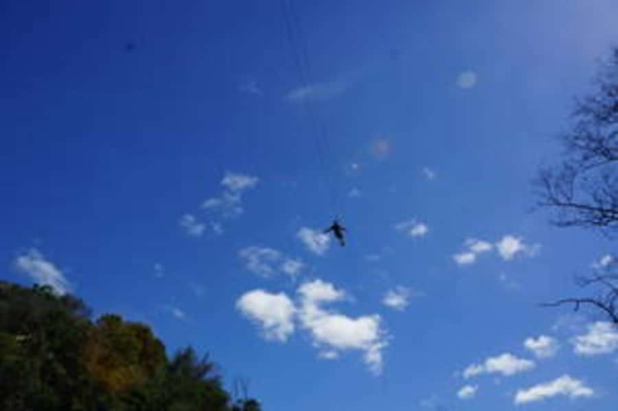 Plettenberg: 2-Hour Zipline Tour - Who This Zipline Works For, and Who Should Skip It