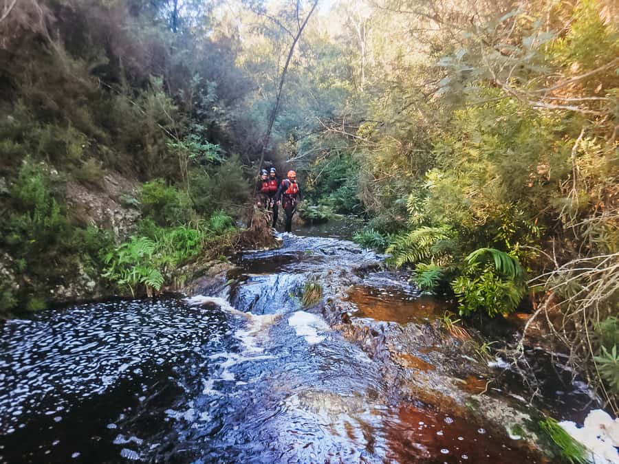 Plettenberg Bay: Canyoning Trip - First Look at Canyoning in Plettenberg Bay