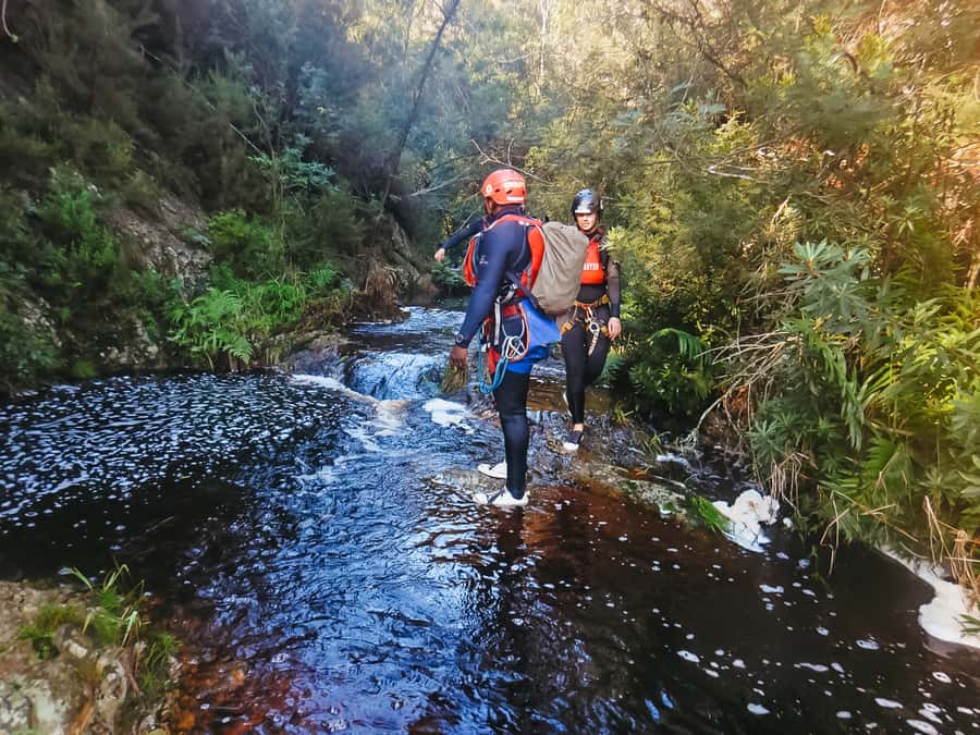 Plettenberg Bay: Canyoning Trip - Should You Book This Canyoning Trip in Plettenberg Bay?
