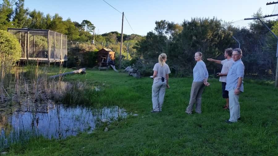 Plettenberg Bay: Cats in Conservation Full Day Tour - The guided wild-cat tour: learning conservation, not just names