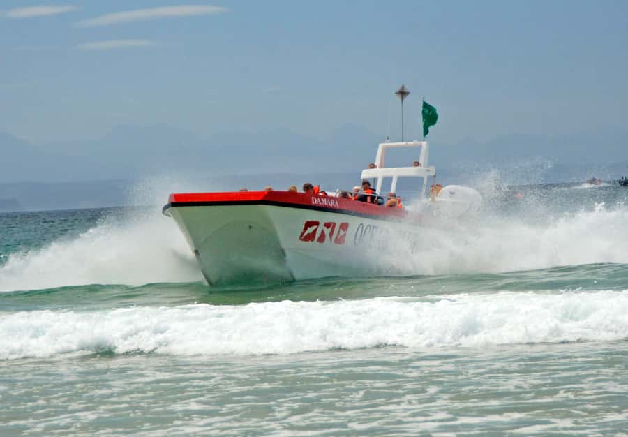 Plettenberg Bay: Dolphin and Marine Boat Tour - Ocean Blue Adventures: the 90-minute ride that starts with a beach launch