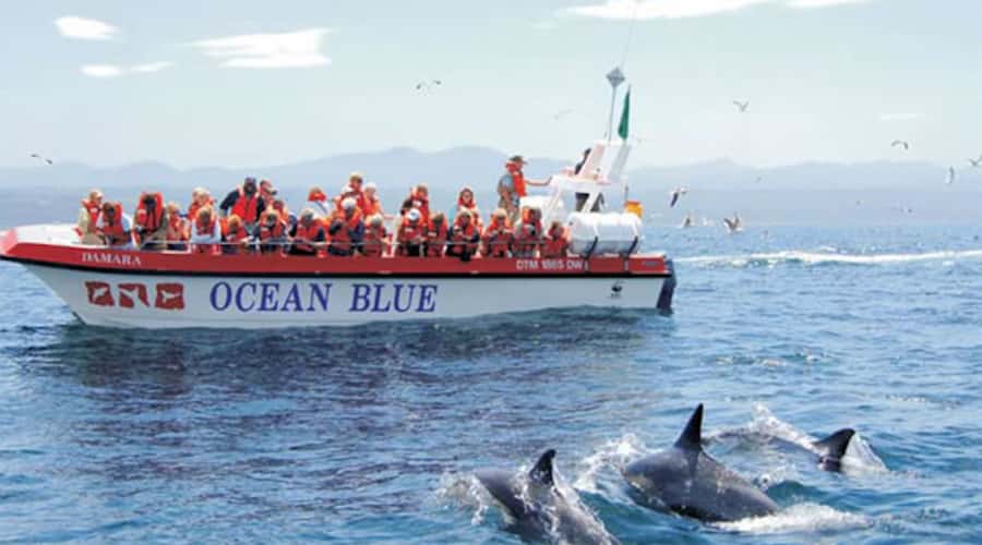 Plettenberg Bay: Dolphin and Marine Boat Tour - Crossing toward Robberg: the best odds for Indo-Pacific humpbacks and whale pods