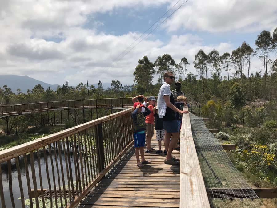 Plettenberg Bay: EcoKidz Family Wildlife Tour - Tenikwa starts your EcoKidz tour, right on the N2