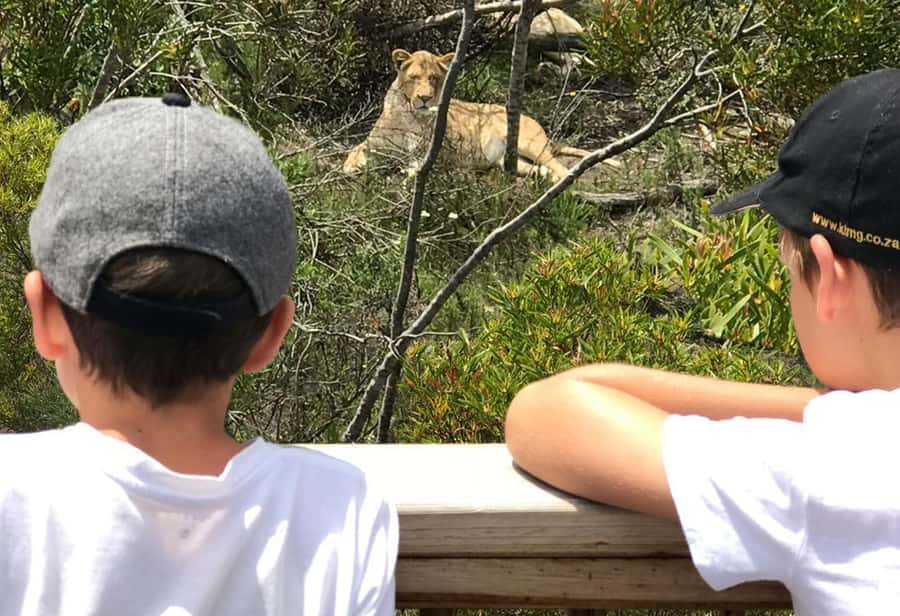 Plettenberg Bay: EcoKidz Family Wildlife Tour - The 90 minutes that feel made for kids