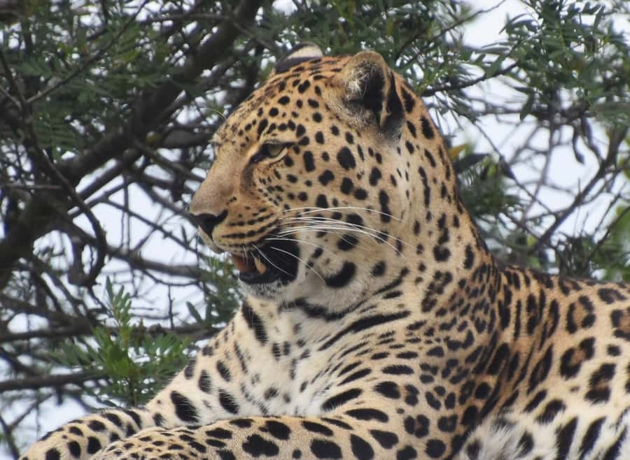 Plettenberg Bay: EcoKidz Family Wildlife Tour - Who should book this EcoKidz tour at Tenikwa, and who may not