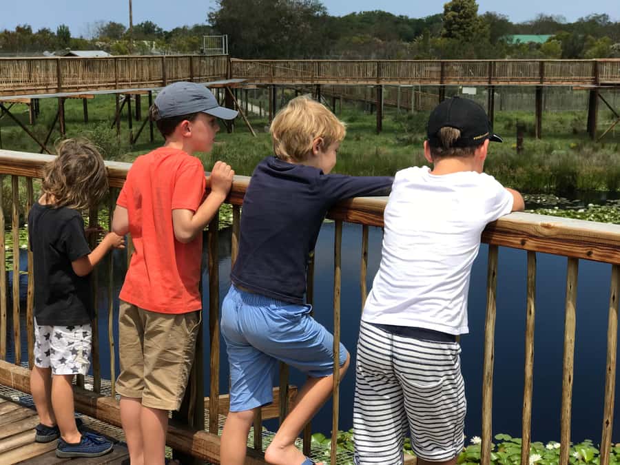 Plettenberg Bay: EcoKidz Family Wildlife Tour - Meerkats, owls, and the kind of spotting game kids understand