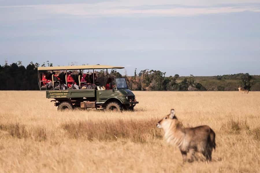 Plettenberg Bay Game Reserve: 2-Hour Game Drive - Key Highlights You’ll Feel During the Drive