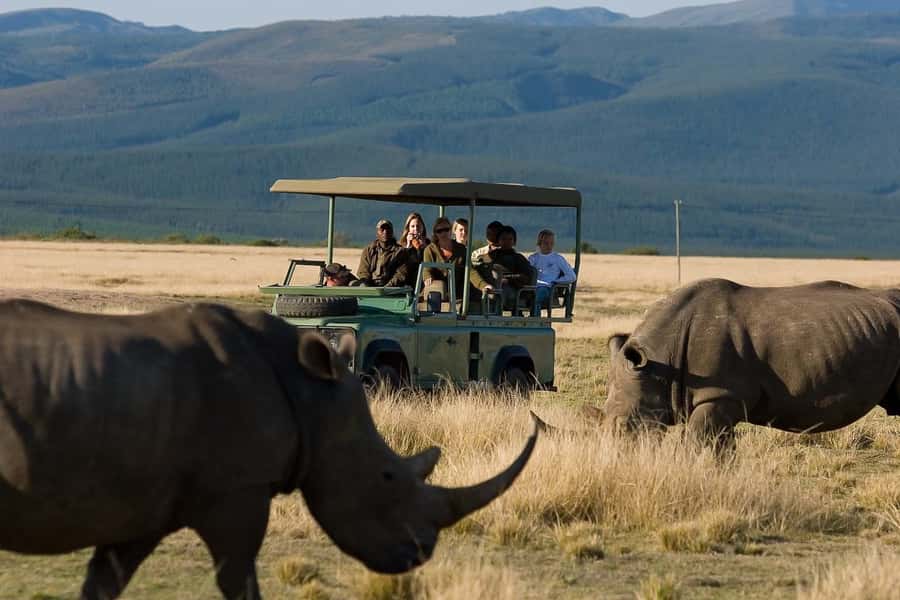 Plettenberg Bay Game Reserve: 2-Hour Game Drive - What The Ranger Does For You (And Why It Improves Sightings)
