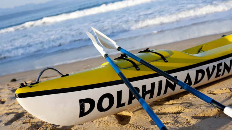 Plettenberg Bay: Guided Sea Kayak Tour - Entering Plettenberg Bay From Central Beach, and Why the Route Shifts